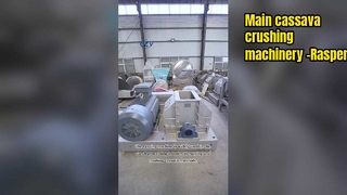 खाद्य ग्रेड कसावा रैस्पर